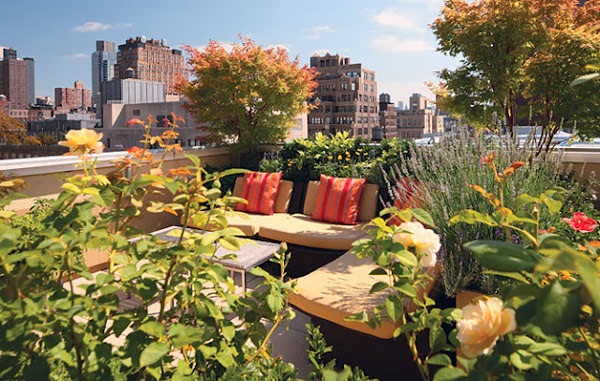 Top 10 Mẫu thiết kế sân thượng đẹp đầy hoa, nắng và gió Ngoại thất Sân vườn Trang trí  